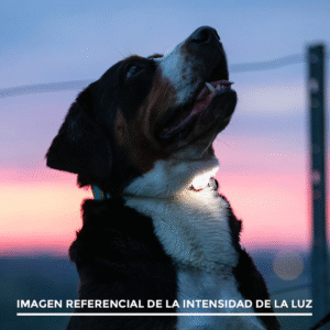 MAX&MOLLY - ULTRA LED SAFETY LIGHT SKY BLUE - Imagen 4