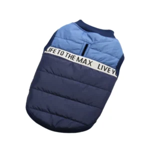 BLUE & BLUE VEST