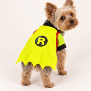 DISFRAZ ROBIN - Imagen 3