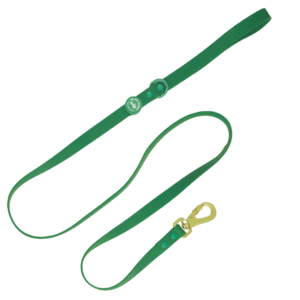 CORREA IMPERMEABLE VERDE - PET SOCIETY