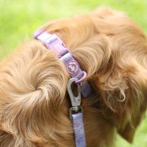 COLLAR LILA - PET SOCIETY - Imagen 3