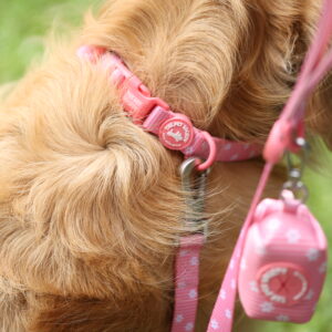 POOP BAG ROSA - PET SOCIETY - Imagen 6