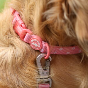 CORREA ROSA - PET SOCIETY - Imagen 6