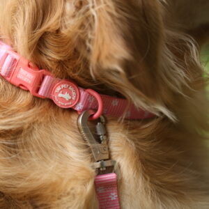 COLLAR ROSA - PET SOCIETY - Imagen 3
