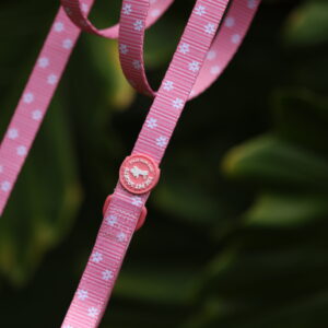 CORREA ROSA - PET SOCIETY - Imagen 3