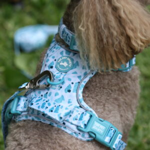 ARNES CELESTE - PET SOCIETY - Imagen 4