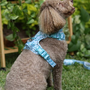ARNES CELESTE - PET SOCIETY - Imagen 5
