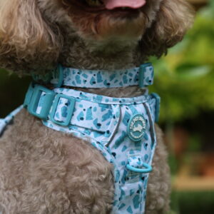 COLLAR CELESTE - PET SOCIETY - Imagen 5