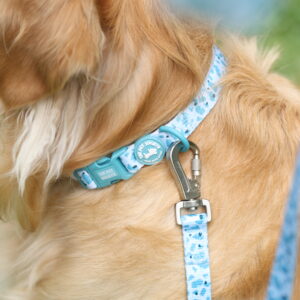 COLLAR CELESTE - PET SOCIETY - Imagen 3