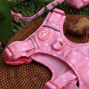ARNES  ROSA - PET SOCIETY - Imagen 3