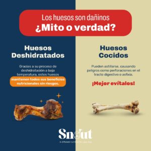 SNOUT - MINIBONE AHUMADO - Imagen 3