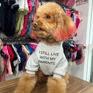 SWEATER COOL DOG GRIS