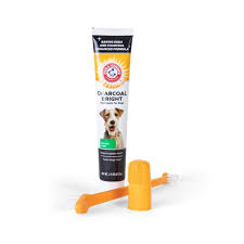 ARM & HAMMER CHARCOAL DENTAL KIT