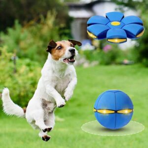 PELOTA SALTARINA