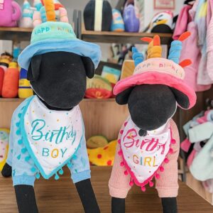 BANDANA BIRTHY BOY - Imagen 1