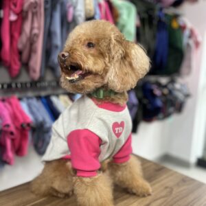 VINTAGE PINK RAGLAN