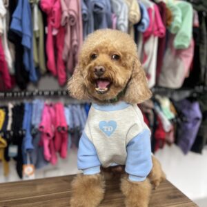 VINTAGE BLUE RAGLAN