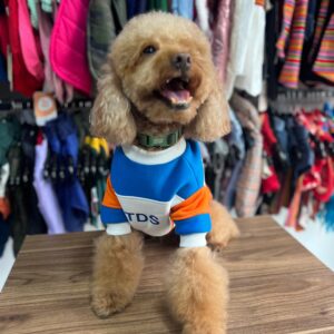 BLUE & ORANGE RETRO SWEATER