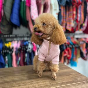 PINK WAFFER SWEATER