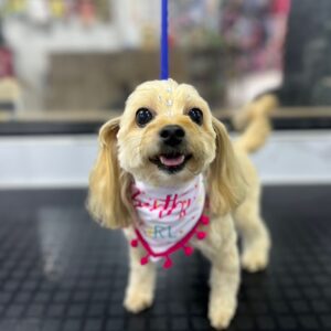 BANDANA BIRTHY GIRL