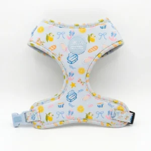 PACK MEDITERRANEO ARNES + CORREA - LITTLE TAILS - Imagen 3