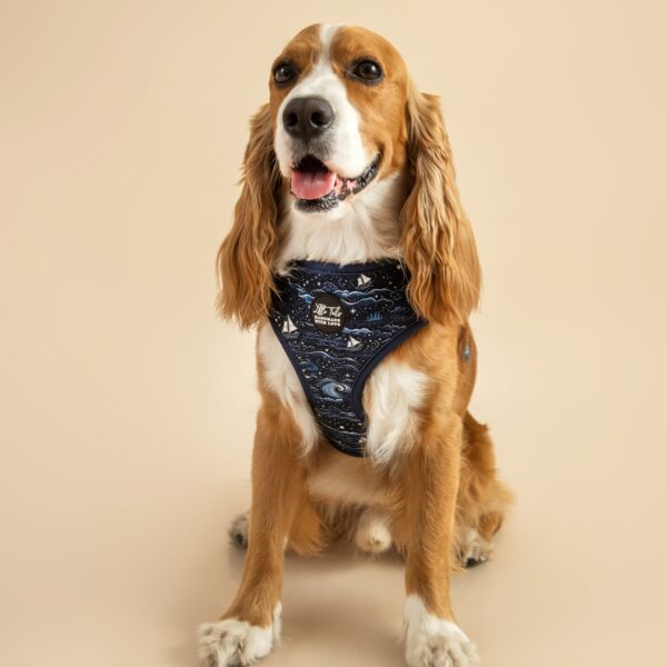 Navy Arnes Modelo