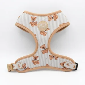 PACK TEDDY ARNES + CORREA - LITTLE TAILS - Imagen 3