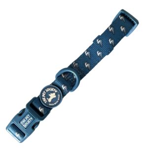 COLLAR RAYO - PET SOCIETY