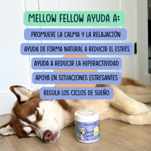 MELlOW FELLOW (CALMING) - Imagen 4