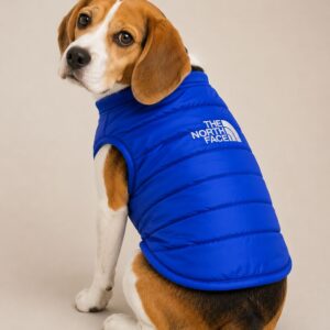 BLUE VEST
