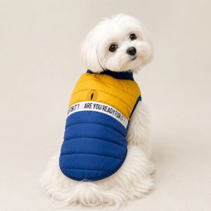 YELLOW AND BLUE VEST