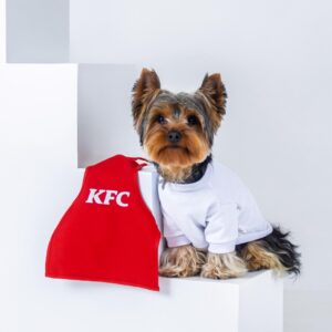 DISFRAZ KFC